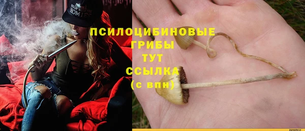 spice Алзамай