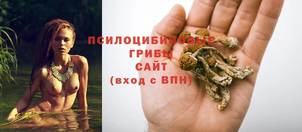 мяу мяу кристалл Алексин