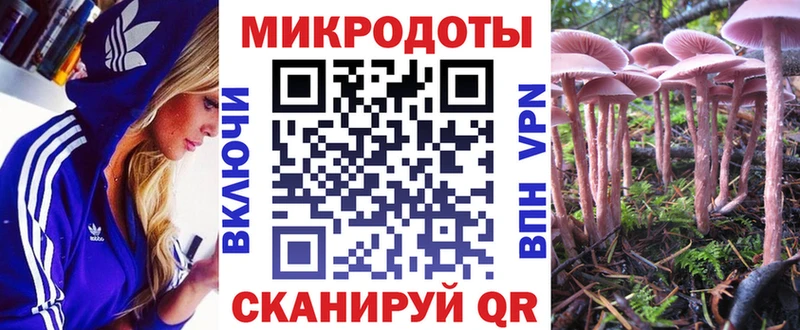 Псилоцибиновые грибы мицелий  Комсомольск 